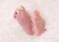 03 Babies 2011